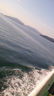 CLEցEM